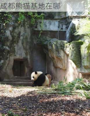 成都熊猫基地在哪