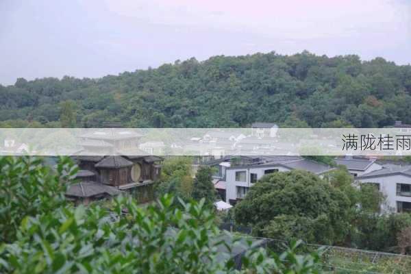 满陇桂雨