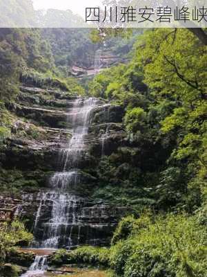 四川雅安碧峰峡