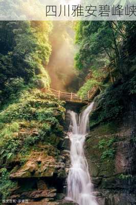 四川雅安碧峰峡