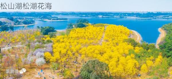 松山湖松湖花海