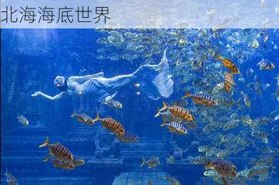 北海海底世界