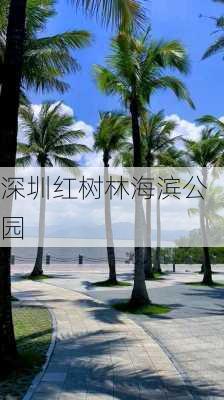 深圳红树林海滨公园