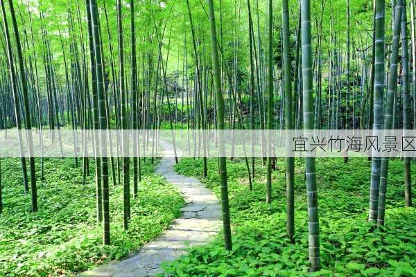 宜兴竹海风景区