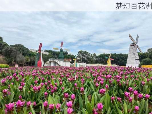 梦幻百花洲